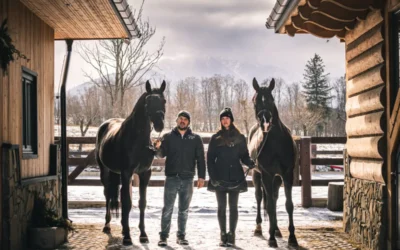 Podsumowanie sezonu zawodów w ujeżdżeniu 2025